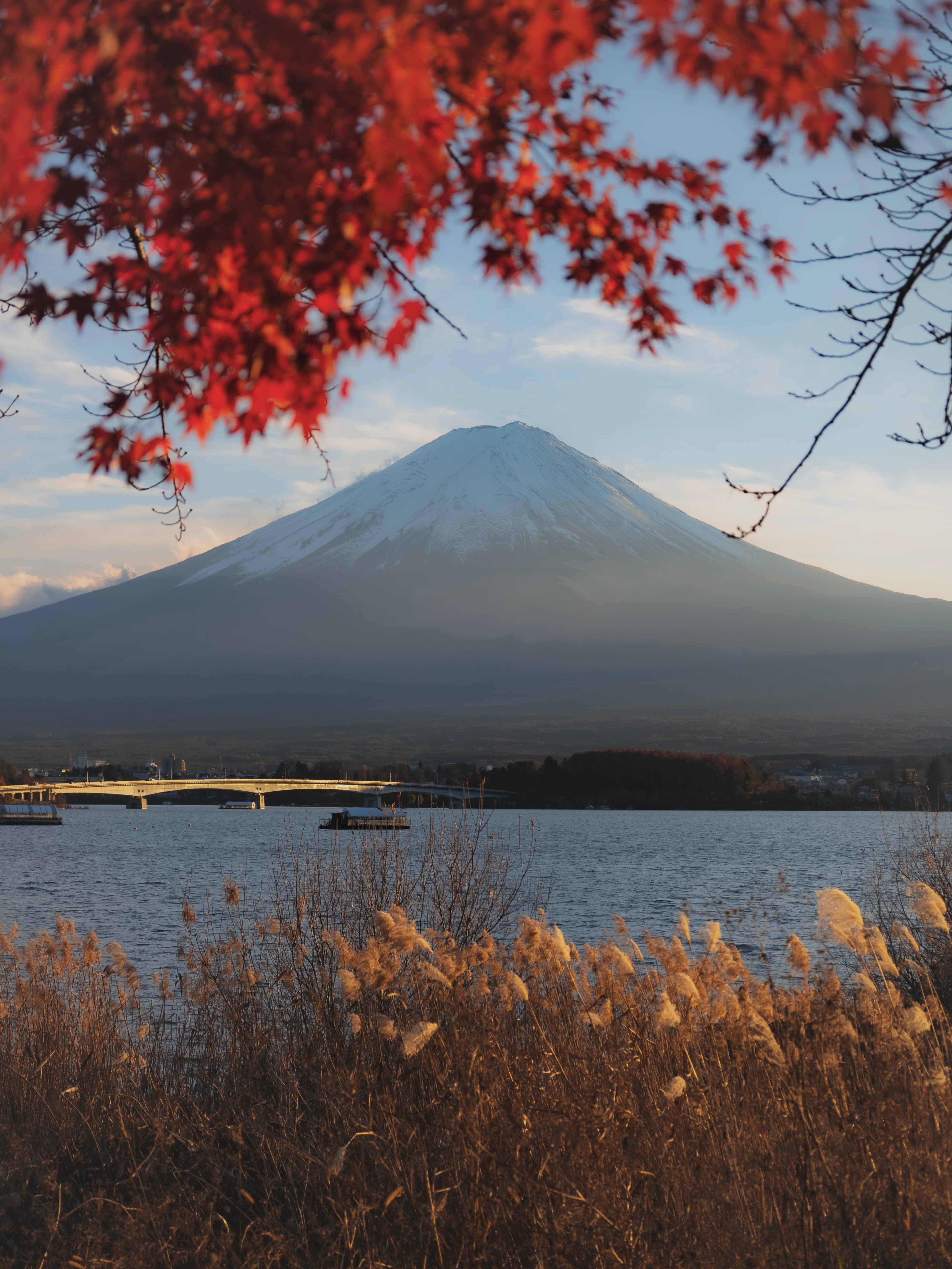 Fuji