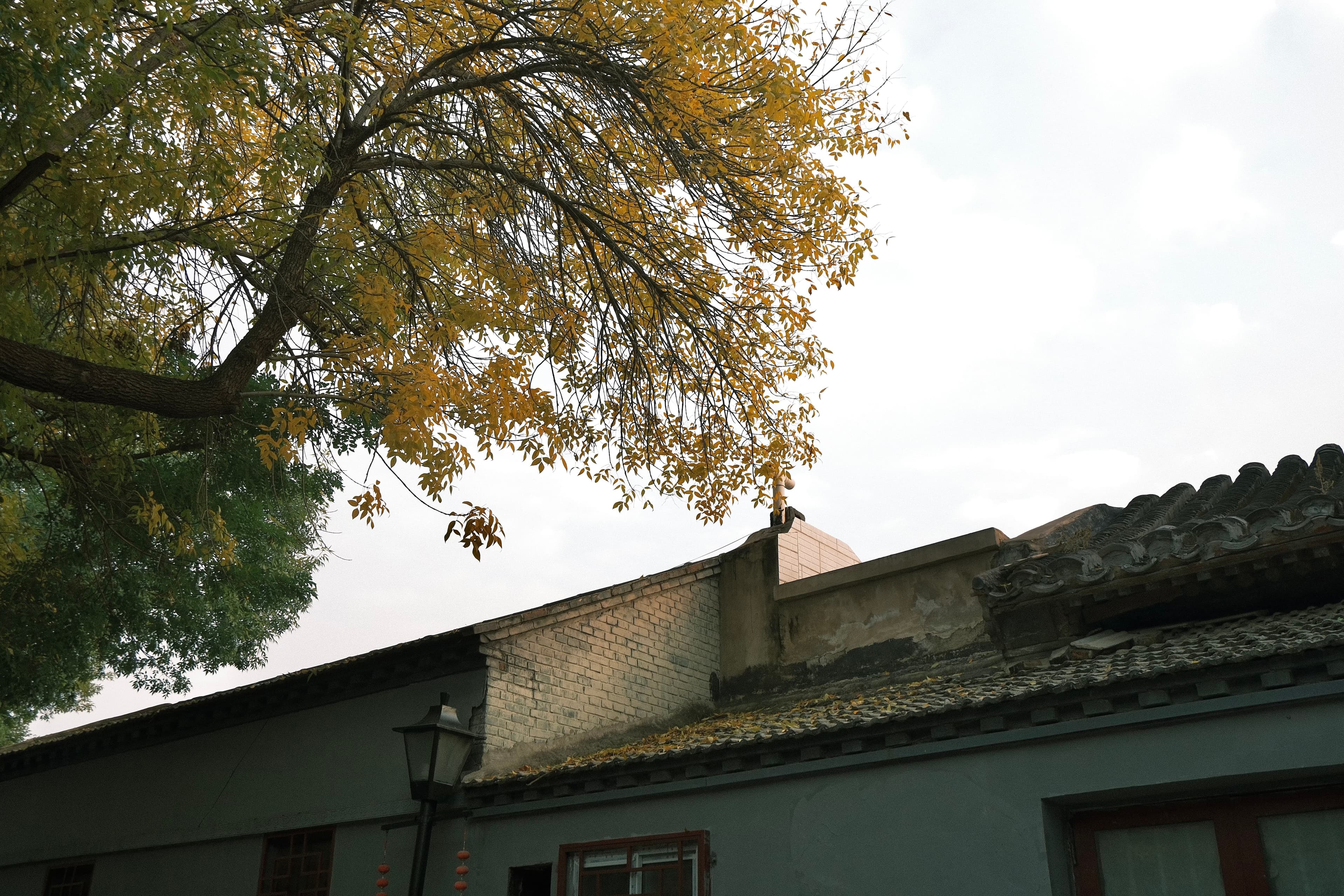 hutong